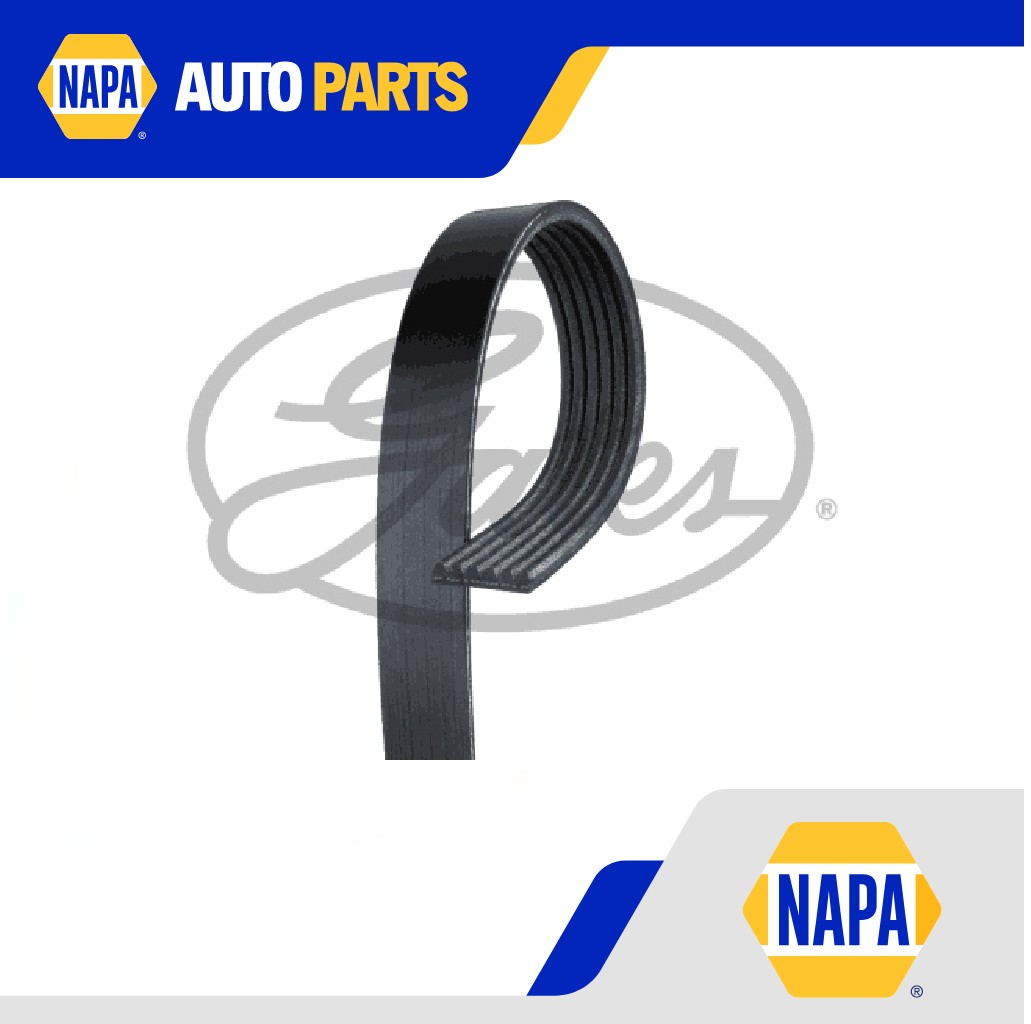 Gates Micro-V Multi Ribbed Drive Belt 6 Rib x 1600mm - 6PK1600 Gates Micro-V Multi Ribbed Drive Belt 6 Rib x 1600mm - 6PK1600